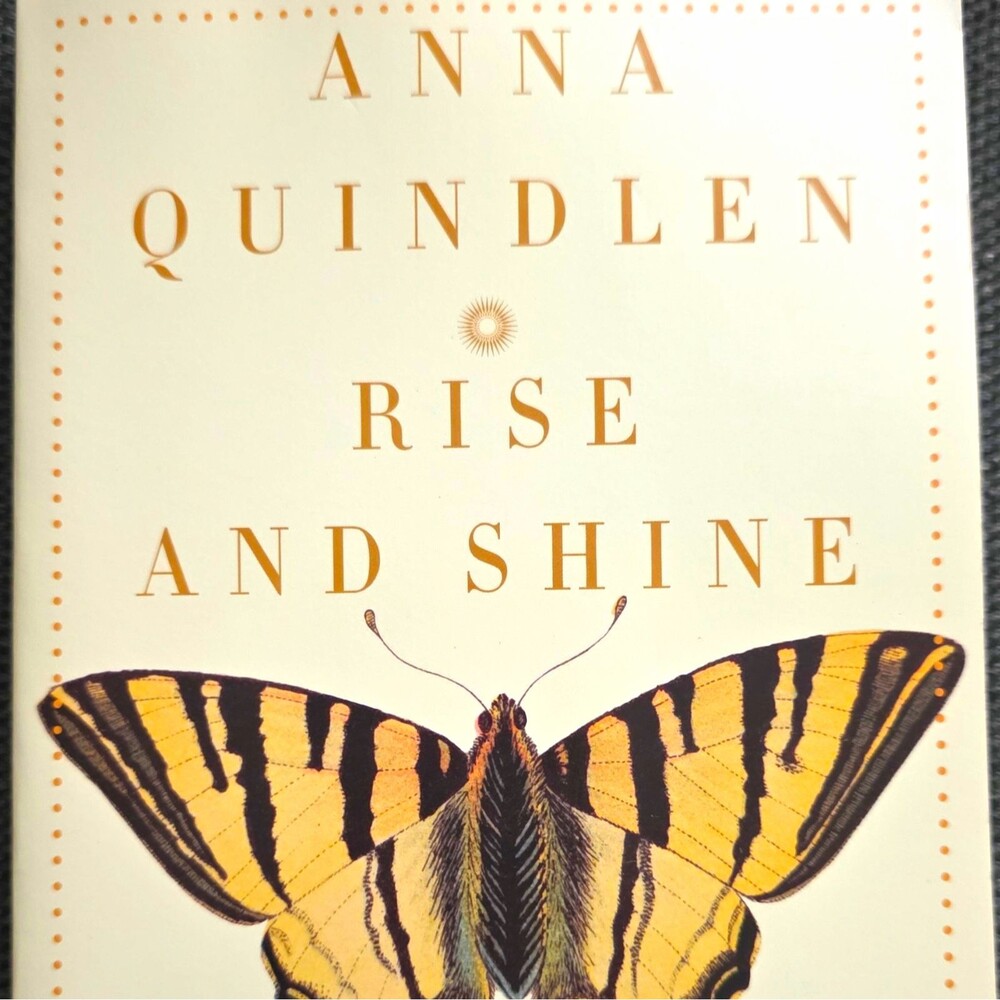 Anna Quindlen Rise and Shine: Fiction Novel Hardcover Book w/ Dust Jacket